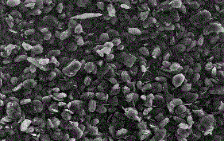低膨胀、长寿命人造石墨(1)