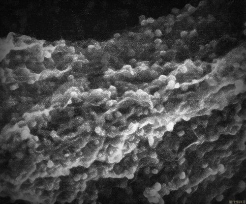 高容量硅系复合材料(1)
